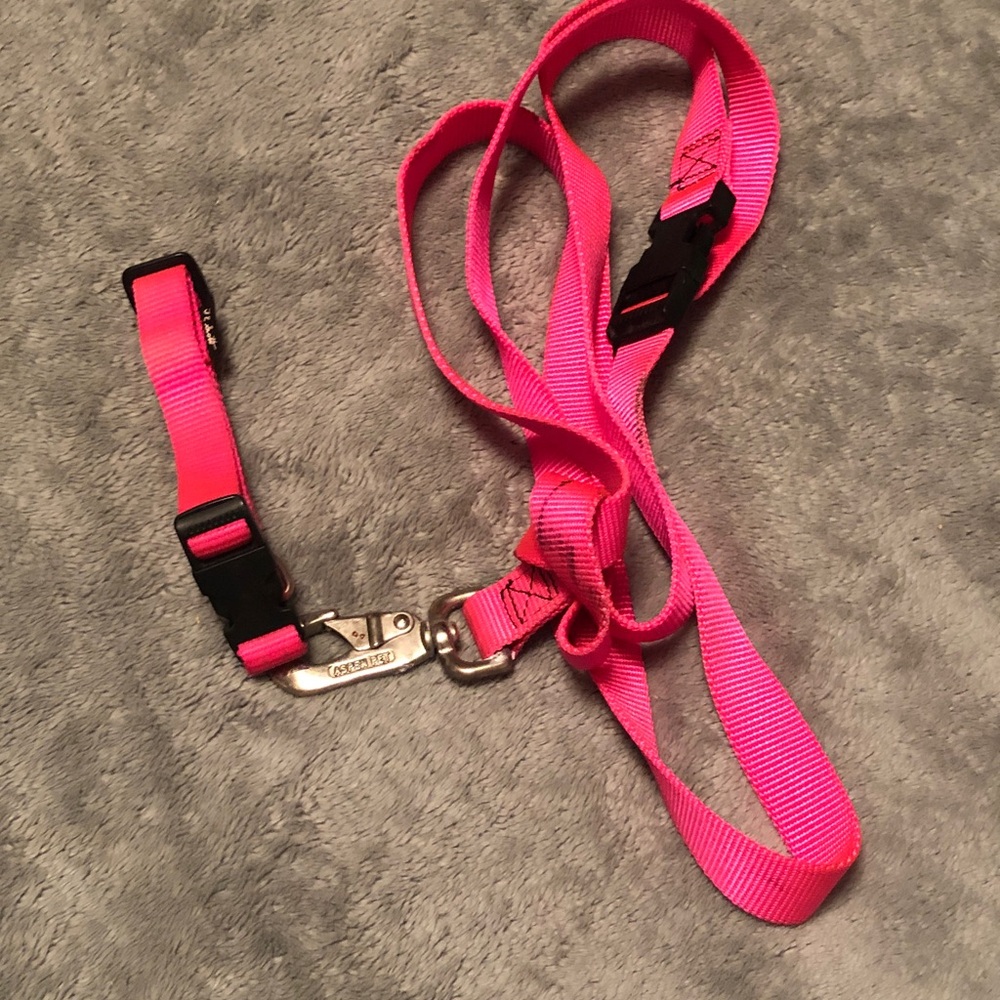 Pink Dog Leash with Metal Clip and matching collar